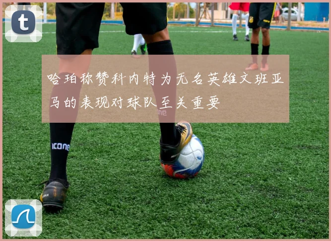 哈珀称赞科内特为无名英雄文班亚马的表现对球队至关重要