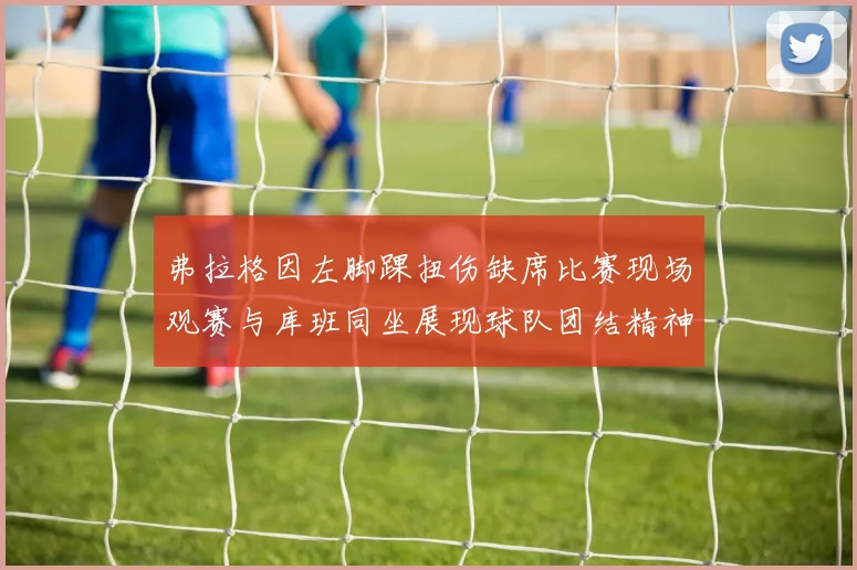 弗拉格因左脚踝扭伤缺席比赛现场观赛与库班同坐展现球队团结精神