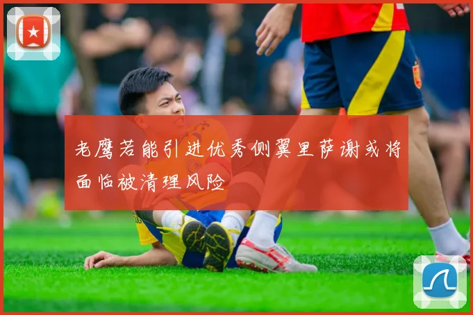 老鹰若能引进优秀侧翼里萨谢或将面临被清理风险